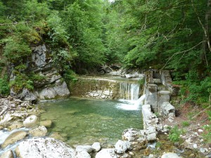 Wasserfall Tatzlwurm